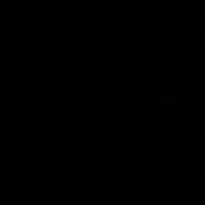 Meet your Posher, Daniela